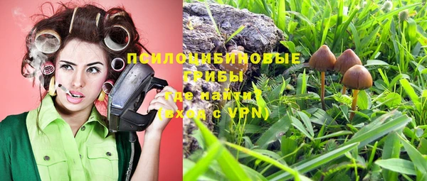 спиды Ступино