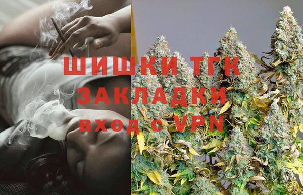 стаф Белокуриха