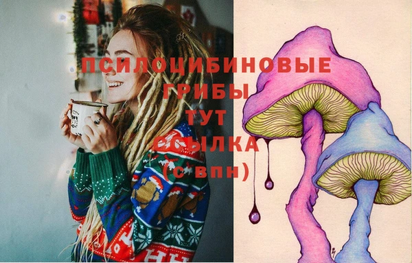 стаф Белокуриха