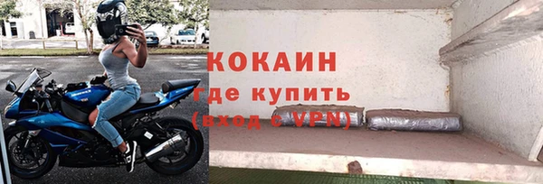 стаф Белокуриха